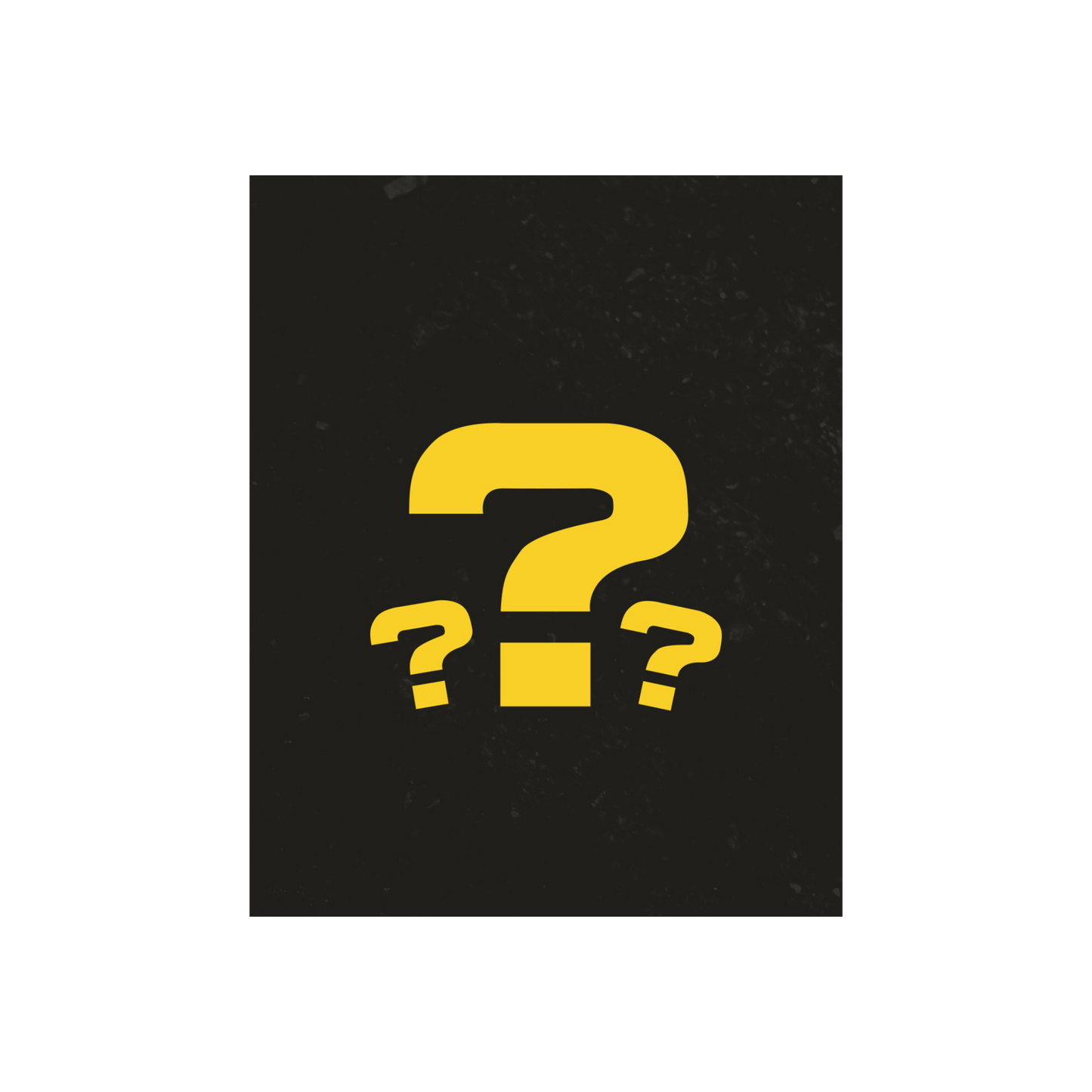 Large Mystery Bundle