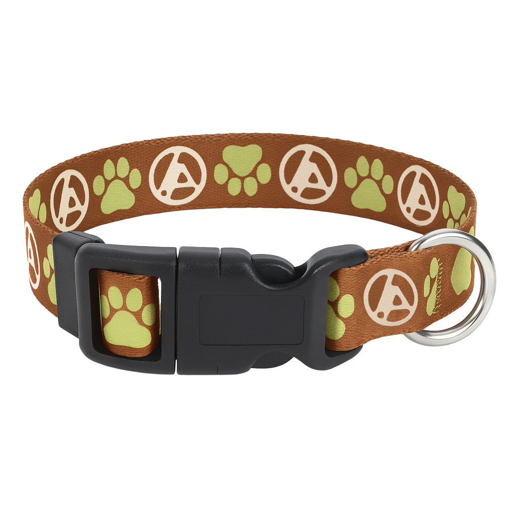 LP Orange/Green Dog Collar