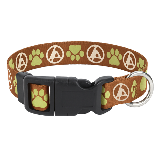 LP Orange/Green Dog Collar