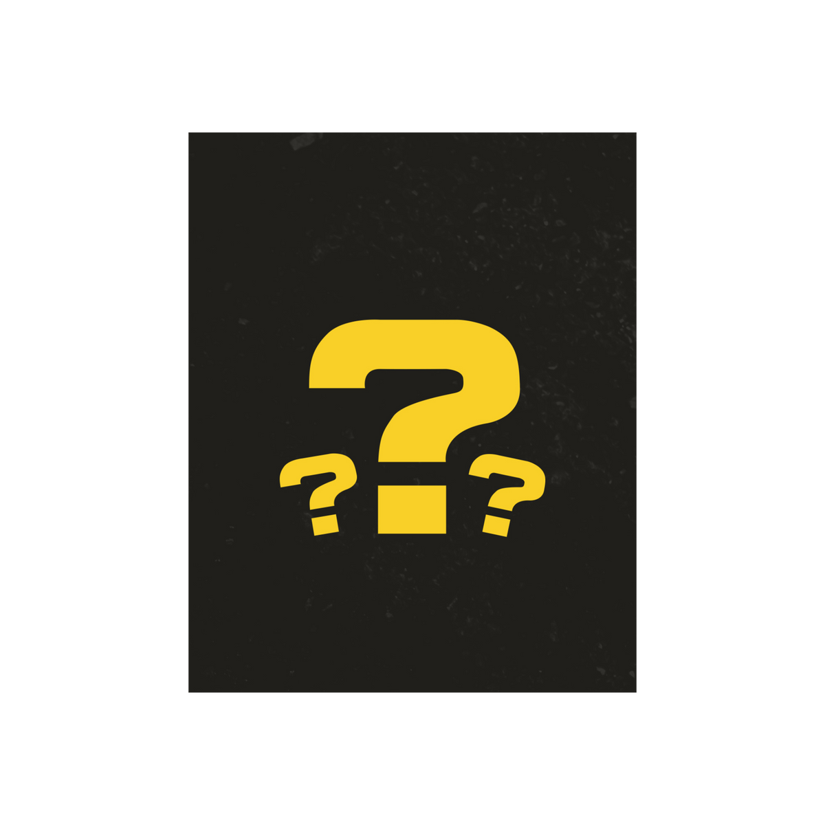 Large Mystery Bundle
